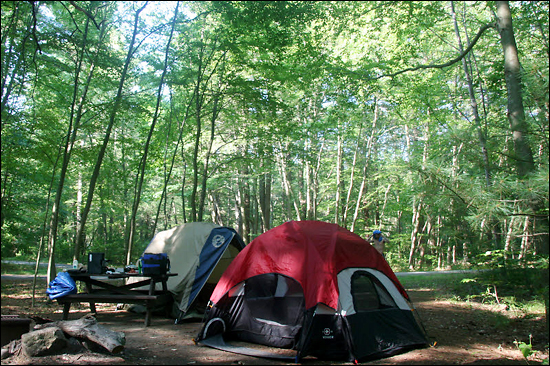 보스턴 남부 힝엄 근처의 야영장. 지금까지 미국에서 다녀 본 30여군데의 캠핑장 가운데 최고였다. 나뭇가지 사이로 스며들어오는 햇빛이 싱그런 연두색처럼 느껴졌다.