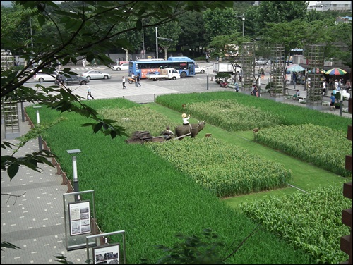 1300억 원 짜리 한뼘 공원입니다.  한 바퀴 도는데 1분 30초 걸리는 공원을 만들기 위해 1300억 원을 퍼부었습니다. 자기 돈이라면 이렇게 했을까요? 