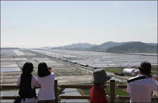  신안 증도 태평염전. 전망대에서 내려다보이는 염전 풍경이다.