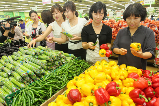 서울 서초구 양재동 농협 하나로클럽을 찾은 쇼핑객들이 가지, 오이 등 할인 중인 채소류를 고르고 있다.