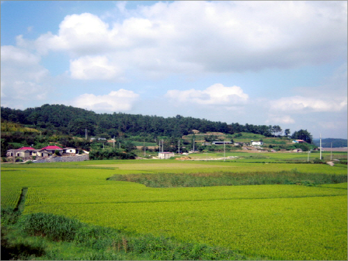 경남 사천시 서포면 조도리 마을입니다.