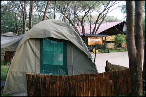 텐트안에 메트리스가 깔려있는 형태로, 하루 숙박비 2만원의 저렴하지 않은 물가.