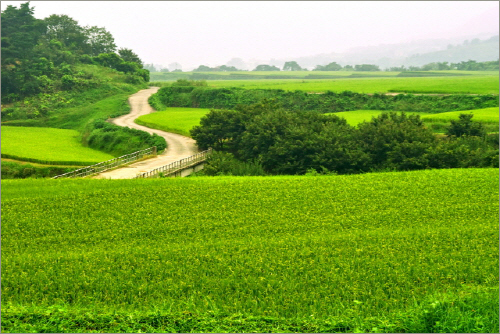 농부들이 땀 흘리며 일을 하고 있는 시골길은 걷기조차 조심스러운 길이다. '지리산둘레길'을 걸을 때에는 겸손하고 감사하는 마음으로 걷는 게 좋다. 