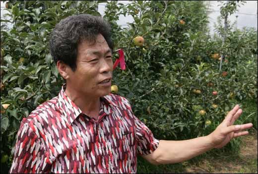 김종순씨. 남도에서 내로라하는 사과농사꾼이다.
