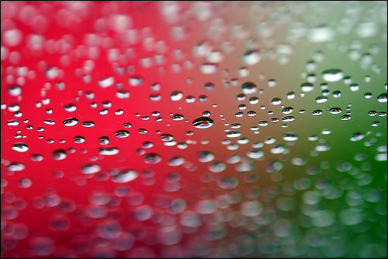 창밖에 비가 내린다. 차장에 맺힌 물방울에 세상의 빛이 물들었다.