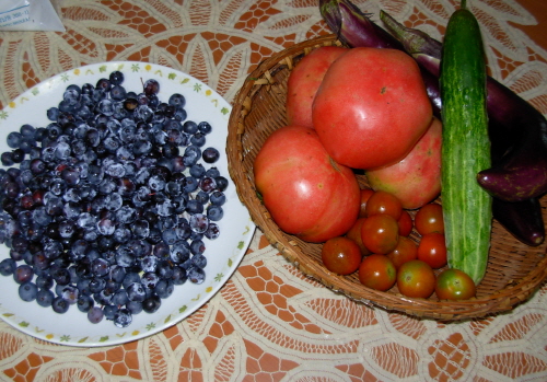 손수 가꾸어 수확을 한 과일과 야채(블루베리, 토마토, 오이, 가지 등)