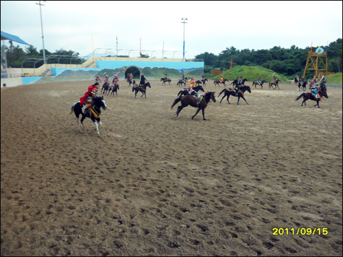  말 테마 파크 공연