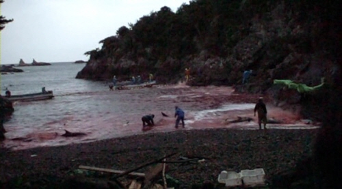 일본 타이지라는 마을에서 벌어지는 돌고래 학살을 다룬 영화