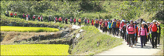 지리산 둘레길을 찾는 사람들이 많다. 탐방객들은 둘레길 3코스(함양군 금계리~남원시 인월면 19.3km) 창원마을 들판의 황금물결을 보면서 걷고 있다.
