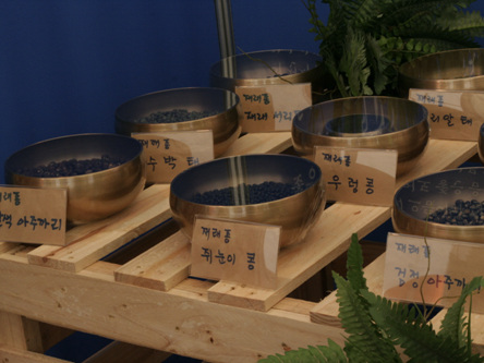 세계 소멸위기 음식 1000+1 전시회에 전시된 한국의 소멸위기 재래 종자들. 