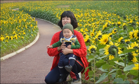 화천 해바라기 공원에서 만난 관광객 길윤혜씨, 본인보다 아기가 더 좋아해 찾았다고...