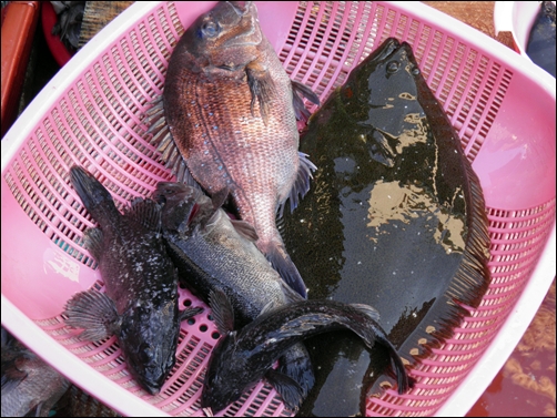  좌판을 이리저리 둘러보는 데, 한 상인이 한 소쿠리 올리며 하는 말, “이거 전부 5만원에 가져가세요!”

