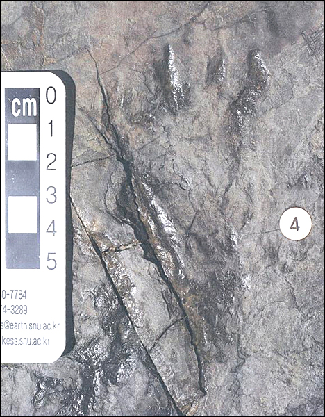문화재청은 진주 호탄동 혁신도시 개발지에서 발견된 화석을 천연기념물로 지정했다. 사진은 '익룡 뒷발자국 화석'.