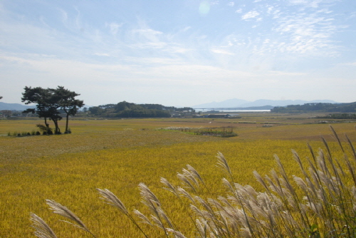 진삼선 기찻길이었던 국도 3호선 너머 보이는 가을 풍경