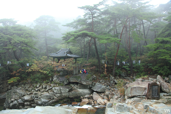  홍류동 소리길, 농산정