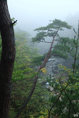  홍류동 소리길