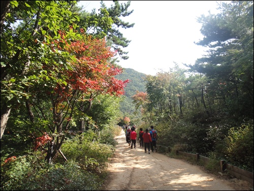  장산의 품 속으로