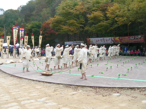 소요단풍문화제  가뭄이 들어 두레로 물을 퍼올리고 한편에서는 일꾼들이 모를 내는 모습. 동두내옛소리보존회가 농사짓는 모습을 재현하고 있다. 