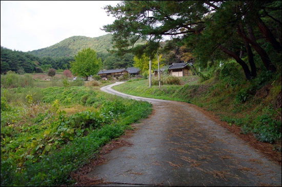  개목사(開目寺)는 봉정사 동북쪽 천등산 줄기에 깃들인 고찰이다.