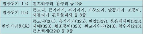 합강리에 찾아왔던 법적보호종 이밖에도 보고되지 않은 법적보호종이 수없이 많은 합강리는 이제 새들에게 죽음의 땅이 될 지 모른다.