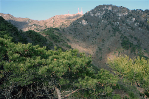 푸른 소나무가 봄이나 여름의 이미지를 주지만 사실은 (눈이 내리지 않은) 12월의 풍경이다. 앞에 다가선 동봉 뒤로 철탑들이 아스라이 보이는 곳이 팔공산의 최고봉 비로봉이다.