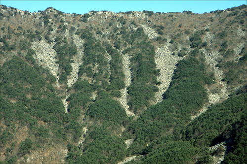 세계적인 빙하기 암괴류를 보여주는 비슬산 풍경. 소재사에서 비슬산강우관측소로 올라가는 임도로 오르면 이 광경을 볼 수 있다.