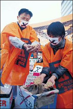 1998년 GMO반대 시위