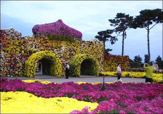 2011대한민국국향대전이 열리고 있는 함평엑스포공원 중앙광장에 만들어진 시크릿가든 성. 가로 26m, 높이 7m에 이른다.