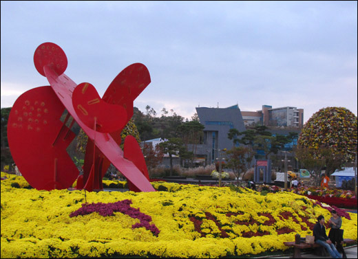 함평엑스포공원에서 열리고 있는 대한민국국향대전을 찾은 연인이 중앙광장의 국화를 배경으로 얘기를 나누고 있다.