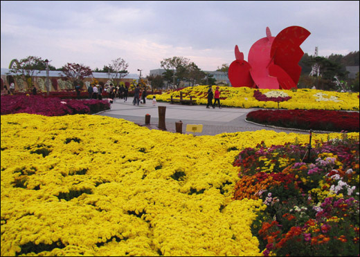 2011대한민국국향대전이 열리고 있는 함평엑스포공원 중앙광장. 가을 분위기가 물씬 묻어난다.