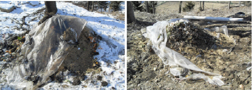 작년 겨울에 만든 퇴비더미(왼쪽)는 서서히 발효가 되면서 봄이 되자 미생물 활동이 활발해지고 부숙속도가 빨라져 양이 서너배로 줄어들었다.(오른쪽)