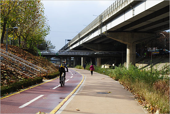 태릉 가는 길의 천변 자전거도로.