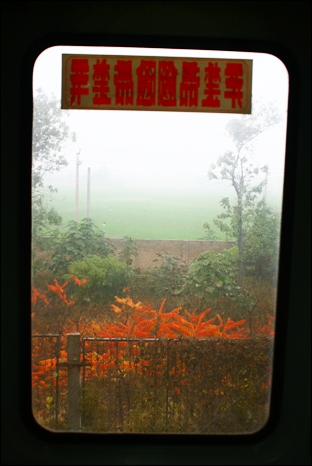 구이양에서 베이징으로 돌아오는 기차에서. 무려 43시간 28분 걸렸다. 비 오는 창 밖으로 꽃과 나무가 빠르게 지나간다. 