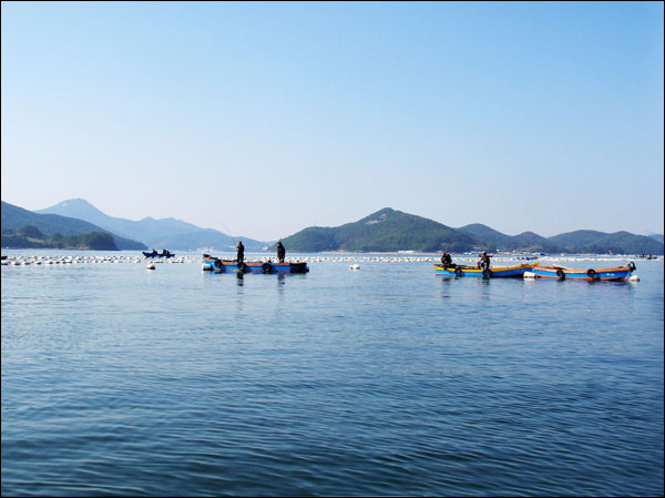 경남 거제 어구정보화마을 앞 바다에서 펼쳐진 제6회 전마선 낚시대회 모습.