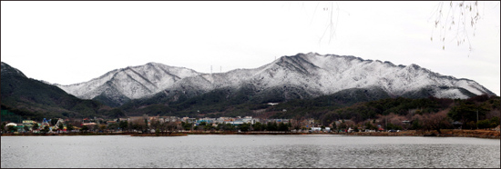  의림지에서 본 용두산 풍경