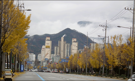12월 1일에 찍은 광주광역시 제2순환도로 가로수