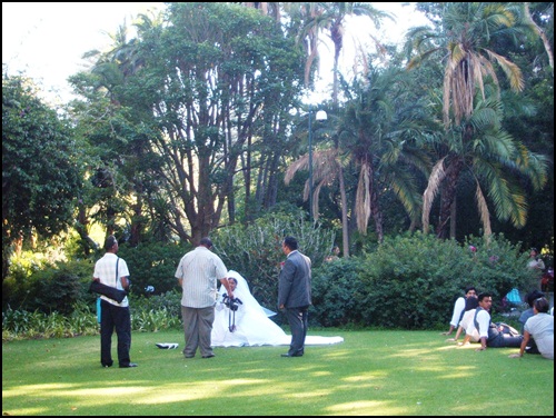 야외 공원에서 진행된 결혼식.케이프타운
