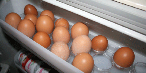 달걀 한판(30개)에 1/3정도가 쌍란입니다. 
