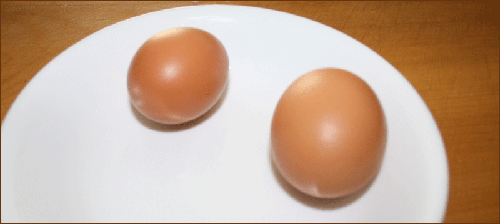 오른쪽의 쌍란은 그 크기가 크고 달걀이 양쪽 다 둥근 타원형입니다.
