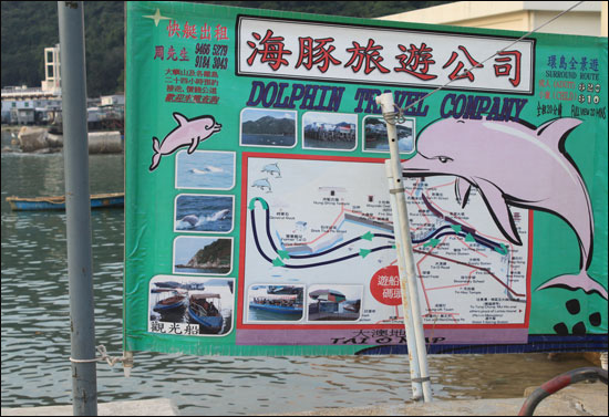 이곳에서 분홍 돌고래를 볼 수 있단다.