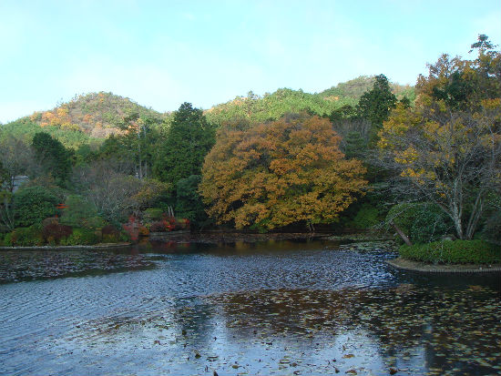 　료안지 절 안에 있는 연못