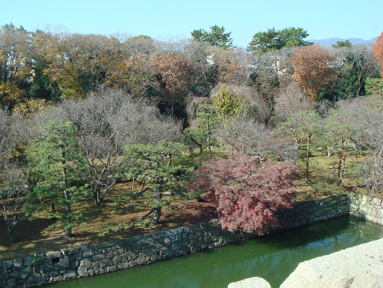  　니조조(二條城) 성 천수각터에서 바라본 해자와 단풍
