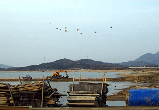 경북 구미시 해평면 해평습지의 풍경. 해평취수장에서 중장비들이 굉음을 내며 공사를 벌이는 동안 철새들이 그 위를 날고 있다.