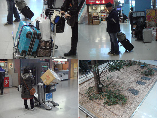  　입국 심사와 세관 검사를 마친 사람들이 입국장으로 들어와서 누군가를 기다리거나 연락을 취하거나 짐을 운반하고 있습니다. 사진 아래 오른쪽은 입국장 안에 마련된 실내 정원입니다. 