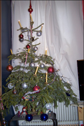 독일 각 가정 거실에 세워지는 장식과 촛불을 컨 크리스마스 나무.