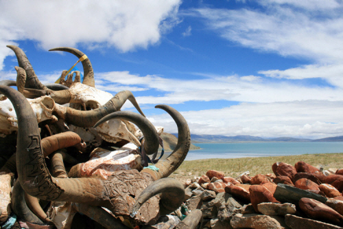 티베트의 성호 한쪽에 자리잡고 있는 야크 뼈