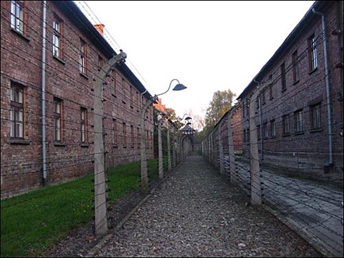 유대인들과 포로들이 나치에 의해 강제로 수감돼 있던 아우슈비츠 수용소의 감방과 그 둘레로 처진 고압 철책선들