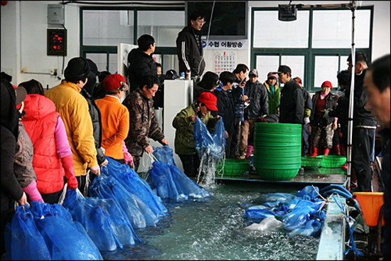 낙지 경매가 한창인 녹동항