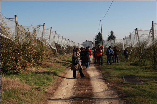 Il Frutto Permesso 협동조합의 사과 농장과 설명을 듣는 유럽연수 참가자들.