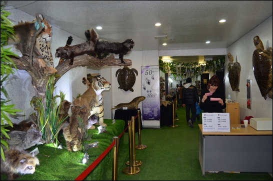 자연사 박물관. 각종 동물 및 어류 등의 박재가 전시되어 있다.
